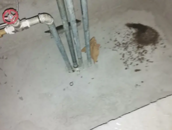 三沙卫生间测漏水价格明细